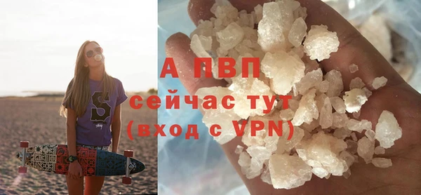 стаф Абинск