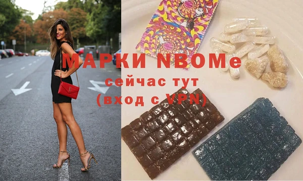 стаф Абинск