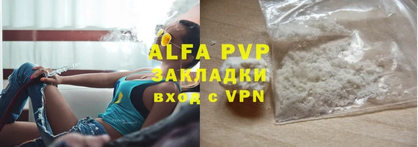 стаф Абинск