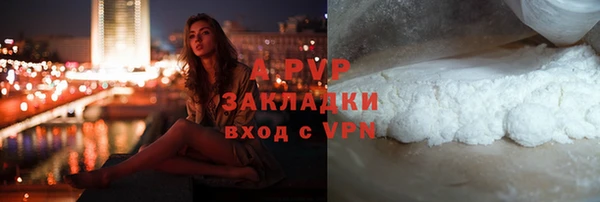 ПСИЛОЦИБИНОВЫЕ ГРИБЫ Абаза