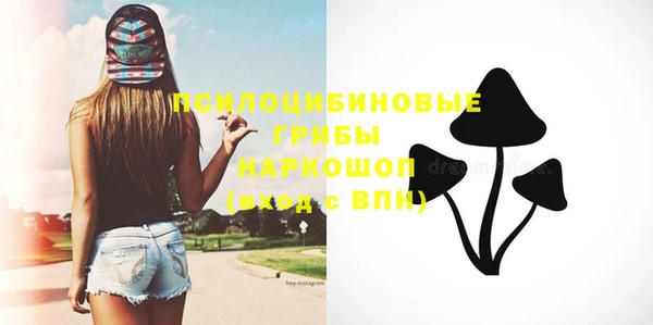 стаф Абинск
