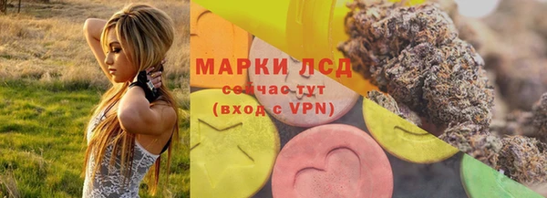 стаф Абинск