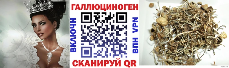 Псилоцибиновые грибы GOLDEN TEACHER  Красновишерск 